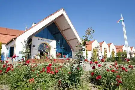 Kehida Termal - 0