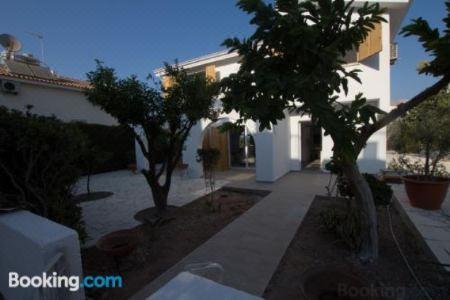 Fig Tree Apartments - 4