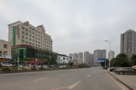 Vienna(Shenzhen Pinghu Shuangyong Street Metro Station) - 11