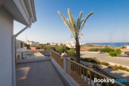 Fig Tree Apartments - 10