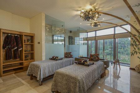 The Kayon Jungle Resort - 9