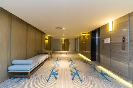 ZTL Shenzhen - 4