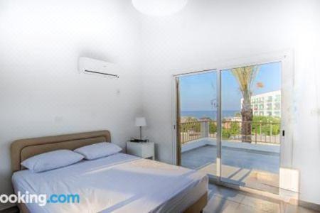 Fig Tree Apartments - 13