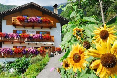 Stocknerhof - 2