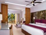 Deluxe King Room With Tropical View