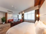 Studio-Style Suite