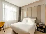 Elegant king-size room