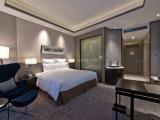 Executive Queen Room