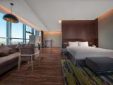 1 King Suite Panorama View