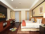 Deluxe One-Bedroom Apartment
