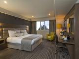Executive King Room