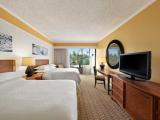 Mountain View Room