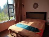 Boutique Double Room