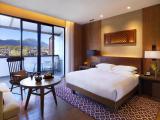 Snow Mountain View King Room