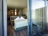 Panorama Mountain View Room