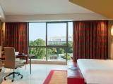 Executive King Suite With City View