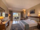Premium Room With Pool View