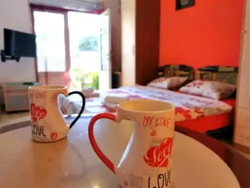 Studio With Garden View