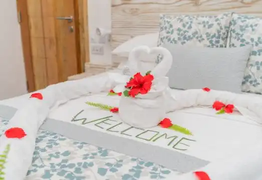 Deluxe Double Room With Double Bed