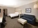 King Suite with Sofa Bed
