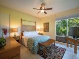 Villa, 1 Bedroom, Oceanfront (Bay 19G4 Gold, 1Bath)