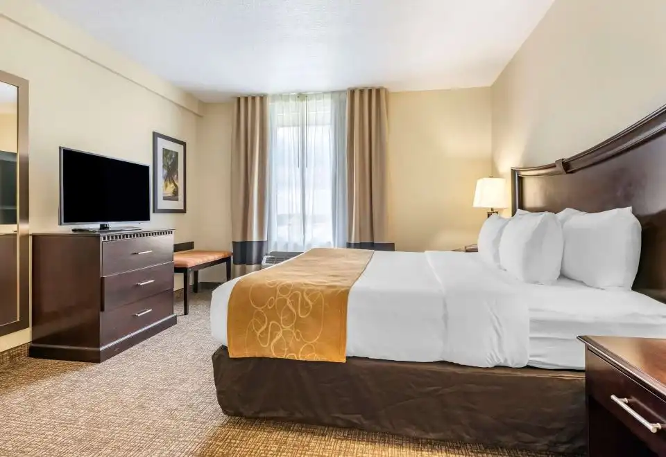 1 Bedroom Suite, King Bed, 1 Bath