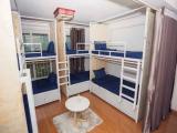 Bunk Bed in Dorm Room