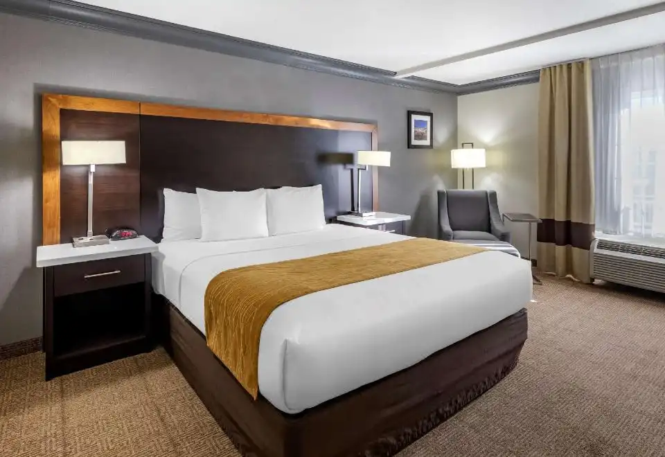 Standard King Room-Non-Smoking