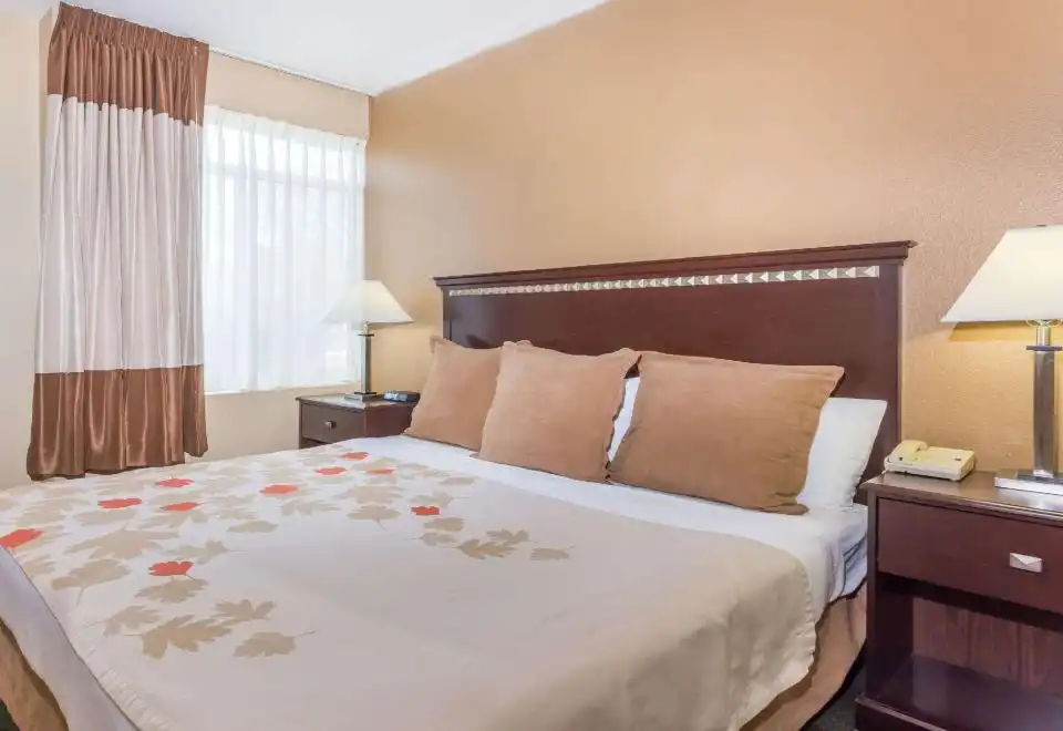 One Bedroom King Suite