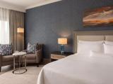 Deluxe King Room with Garden View