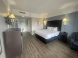 Deluxe Room, 1 King Bed, Smoking, Refrigerator & Microwave