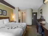 Traditional Room, 1 King Bed, Non Smoking