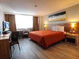 Single King Room