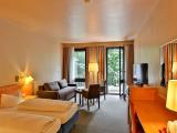 Deluxe Double Room with City View