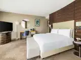 Junior King Suite