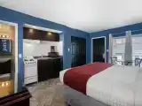 Studio Suite (Apartment In Separate Building)