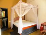 Standard Room, 1 Double Bed, Pool View, Poolside