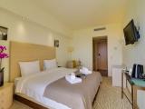 Standard Double Room, Mountain View (Olympus View)