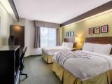 Standard Room, 2 Double Beds, Ground Floor