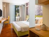 Superior Double Room With Balcony And Park View