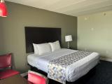 Comfort Room, 1 King Bed, Accessible, Ocean View