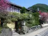 Run of House
