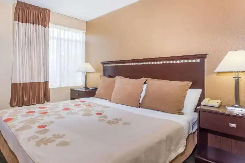 Mobility Accessible One Bedroom King Suite