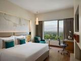 Winter Green, Guest Room, 1 King, City View