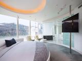 Studio Suite, Non Smoking, Mountain View