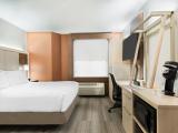 Standard  Mobility Accessible Queen Room with Tub