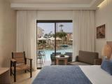 Premium Double Room Swim Up