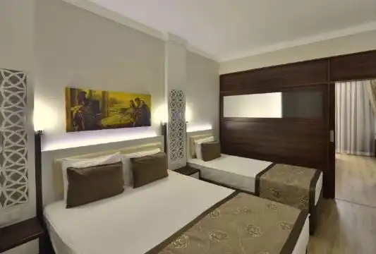 Double Single Use Double Single Use Standard