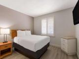 Suite-1 King Bed, Non-Smoking, 2 Room, Sofabed, 2 Flat Screen Tvs, Kitchenette