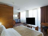 Superior Double Room, 1 King Bed, City View
